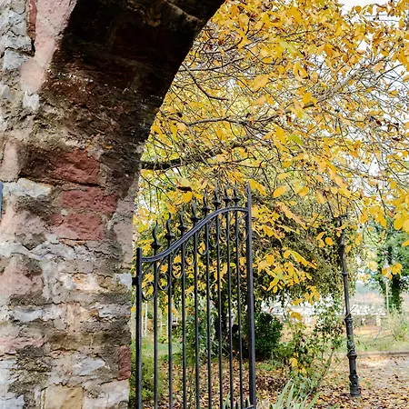 Eventlocation & Schloss Neuburg * Obrigheim (Neckar-Odenwald-Kreis)