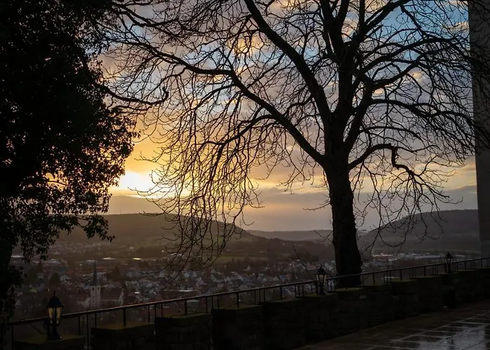 Eventlocation & Schloss Neuburg Отель *