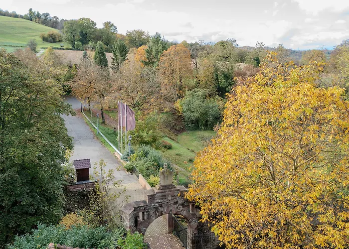 Отель Eventlocation & Schloss Neuburg *